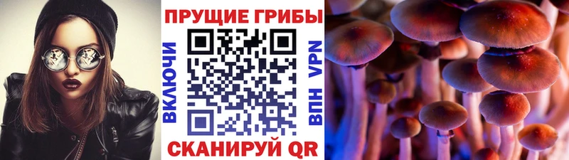Псилоцибиновые грибы мухоморы  Купить закладки  Калачинск 